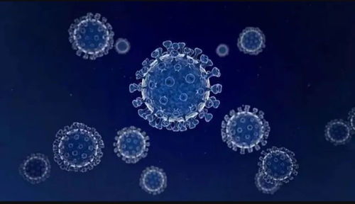 任澤平對話尹燁 生命科技、生物技術與健康長壽的未來前景