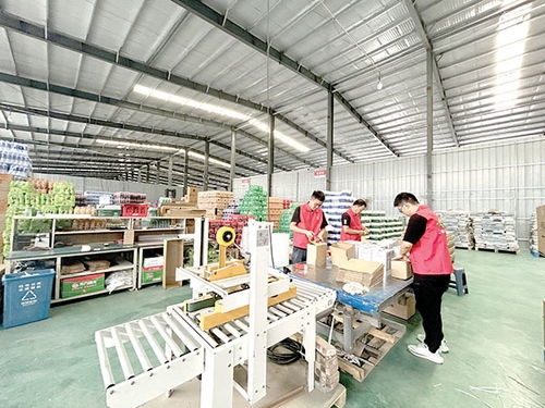 筑巢引商興產(chǎn)業(yè)，日用品銷(xiāo)售繪就鄉(xiāng)村新畫(huà)卷